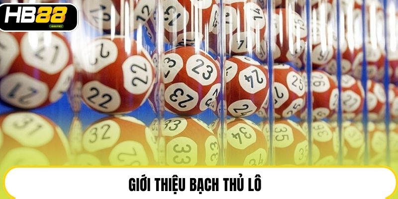 Giới thiệu bạch thủ lô