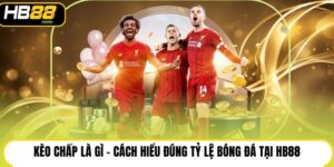 Kèo Chấp Là Gì - Cách Hiểu Đúng Tỷ Lệ Bóng Đá Tại HB88