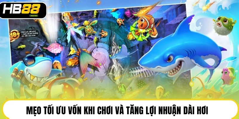 Mẹo tối ưu vốn khi chơi và tăng lợi nhuận dài hơi